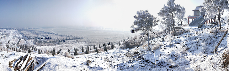 龙生雪景