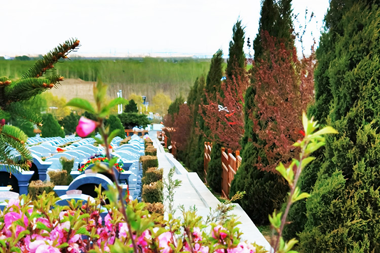 在沈阳龙生公墓墓地葬礼中,需要注意哪些礼仪?