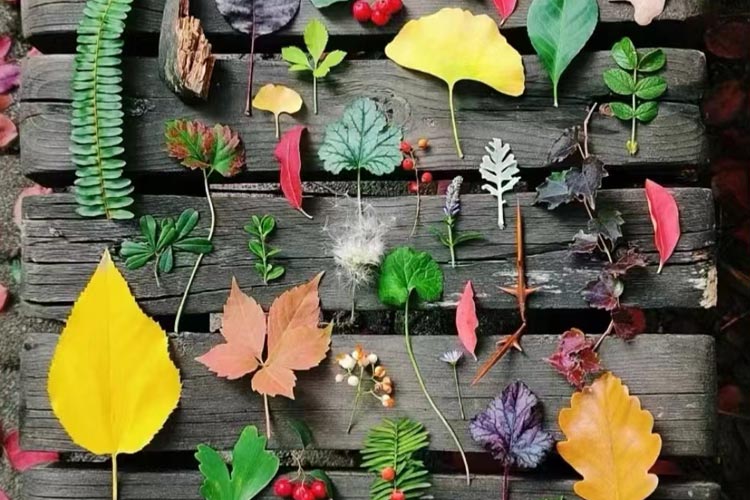 辽宁公墓管理办法促进沈阳十佳墓园便民、惠民、利民,专业的一站式购墓服务! 辽宁公墓管理办法促进沈阳十佳墓园便民、惠民、利民,专业的一站式购墓服务!