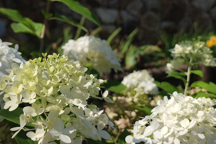 沈阳龙生墓园介绍家里办丧事的禁忌