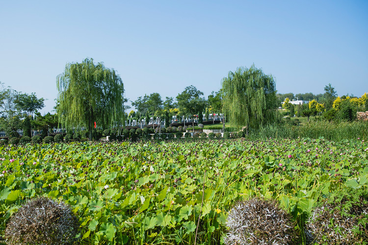 沈阳公墓殡葬用品管理研究