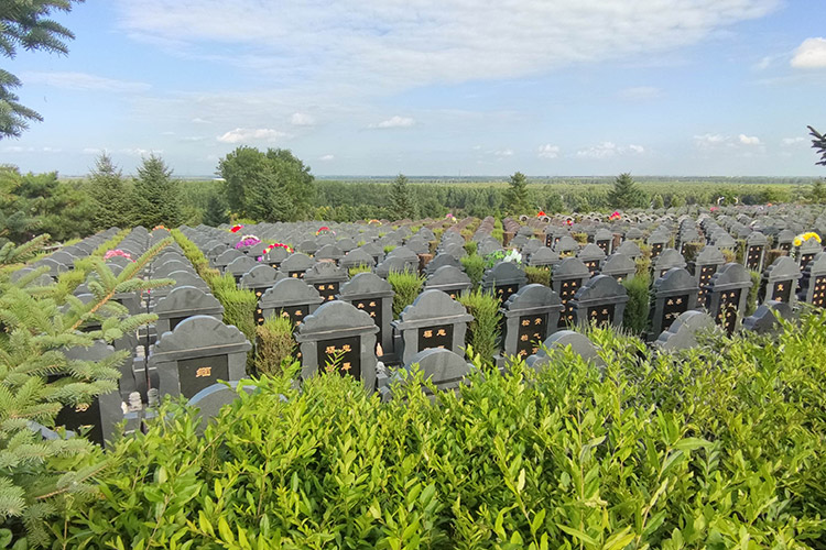 辽宁公墓行业全面提升殡葬专业人才培养效能