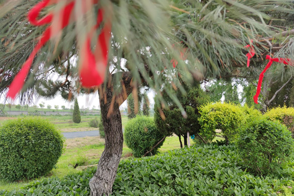 沈阳墓园丧葬一条龙是否提供追悼会或告别仪式的场地安排？