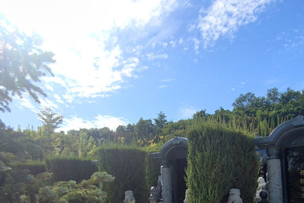 购买沈阳墓地是否有明确的年龄限制？