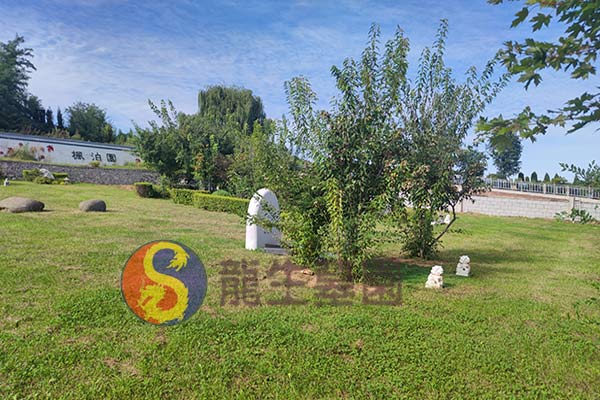 在沈阳陵园买个树葬墓位全部费用大概多少钱？