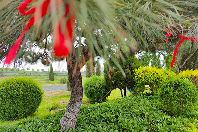 龙生公墓来谈谈我们为什么需要沈阳墓地和殡葬业