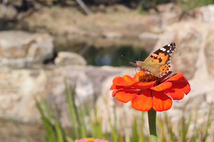 龙生墓园环境风水好不好？龙生墓园环境风水融合自然和灵气的完美墓园选择
