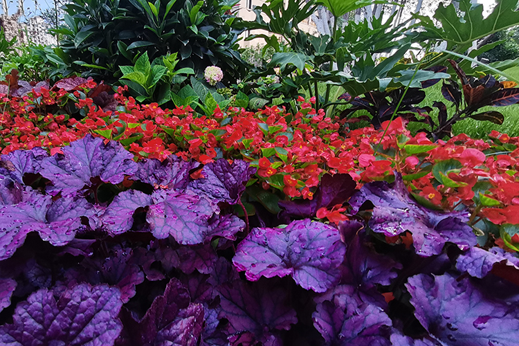 选择沈阳龙生墓园，享受山环水抱、万木吐翠的现代林园墓地！