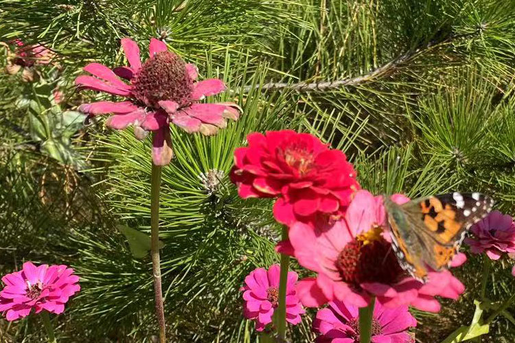 沈阳十佳墓园殡葬事业发展报告 沈阳十佳墓园殡葬事业发展报告